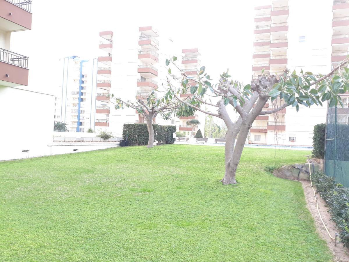 Valldigna 7 Playa De Gandia Solo Familias エクステリア 写真